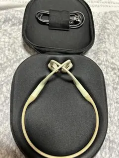 SHOKZ OpenRun Pro ベージュ　通常サイズ