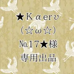 ★Καerυ（☆ω☆）№17★様 リクエスト 2点 まとめ商品