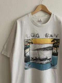 90s USA製 フルーツオブザルーム　風景プリント　Tシャツ　ヴィンテージ