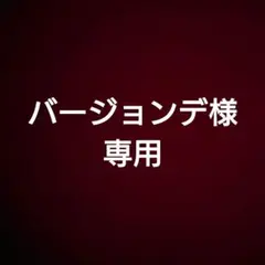 バージョンデ様専用まとめ売り