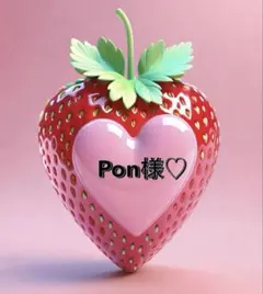 Pon様専用