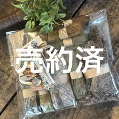 Item thumbnail for item 14672b1e-0b8b-46cd-8cf6-d1c9fe72d714