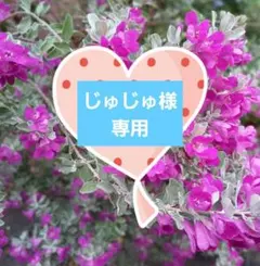 じゅじゅ様 リクエスト 3点 まとめ商品