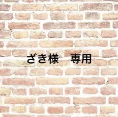 ざき様 リクエスト 2点 まとめ商品