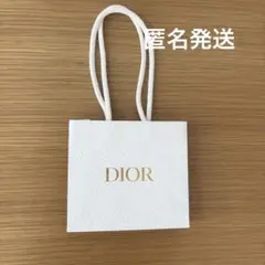 DIOR 紙袋 ショッパー (小)