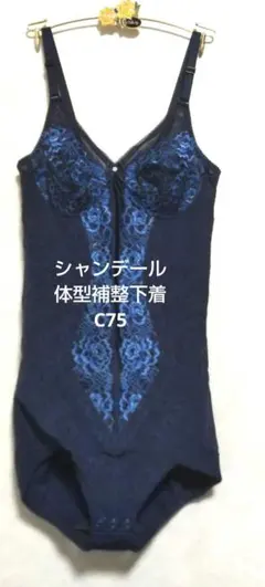 Item thumbnail for item 8e90face-9d66-4e46-b243-bbef43267976