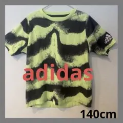 Item thumbnail for item e5cf783b-b086-48ea-9d34-bd96a4a5dcb7