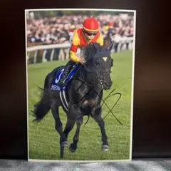 ジャスティンパレス　2025天皇賞秋G I A4写真