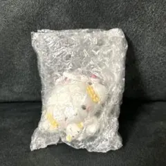 ペネ様 リクエスト 2点 まとめ商品