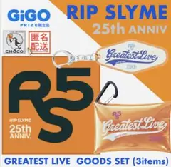 RIP SLYME 25th Anniversary BIGアクリルスタンド - メルカリ