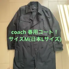 Item thumbnail for item 0656c231-4c07-4068-a6de-65ebd1767db4