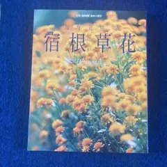 別冊NHK趣味の園芸 毎年花咲く宿根草花