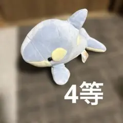 2026年最新】オルカぬいぐるみの人気アイテム - メルカリ