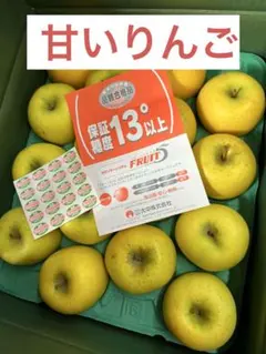 青森県産　りんご　シナノゴールド9~10玉 程度3ｋｇ　糖度13度以上のサムネイル
