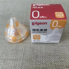 Item thumbnail for item 88b621d7-74f0-4b89-9f89-830ee2306662