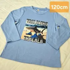 イタリアンブレインロット　長袖