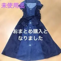 2点おまとめ。ネイビーAラインデニムデザインワンピース未使用サンプル品。