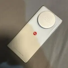 Item thumbnail for item 8bb31861-4f45-478a-b098-e4cb53d83e16