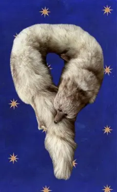 Item thumbnail for item 6febb2ef-177b-42ee-9524-03bc916d3443