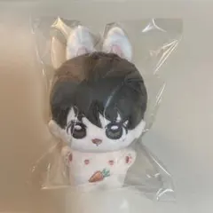 2025年最新】bts マスター ぬいぐるみの人気アイテム - メルカリ