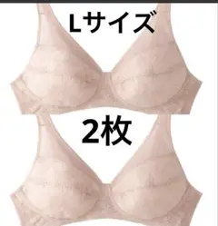 タグ付き新品GUNZE ２枚セット 軽ブラ ノンワイヤーブラ Lサイズ