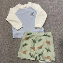 petit main 恐竜柄 ラッシュガードセット 80