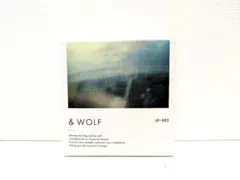 Nオーガニック &wolf UVセラムリキッドファンデーション　UF-002のサムネイル
