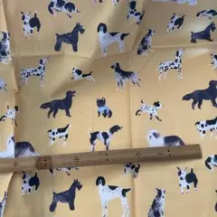 犬柄イエロー綿生地