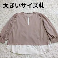 Reina Hoshi しまむらコラボ バー付プルオーバー 4L 大きめ