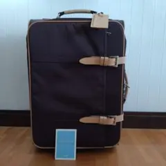 Item thumbnail for item 01cefeb7-a37d-4d9a-a649-38dfc6cfea9a