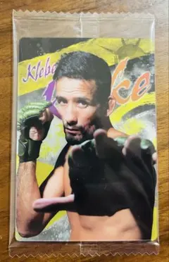 RIZINウエハース クレベルコイケ選手