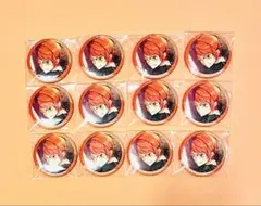 ＊10/12まで＊エリオス ビリー　缶バッジ12点セット