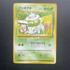 フシギダネ 旧裏 第1弾拡張パック 1996年 No.001 やどりぎのタネ 旧裏】フジギダネ No.001 第1弾拡張パック 1996 やどりぎのタネ - メルカリ