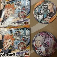 【SALE】ハイキュー!!コレクション缶バッジmemories第3弾 夜久 田中