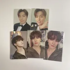 SEVENTEEN セブチ ディノ トレカ FML