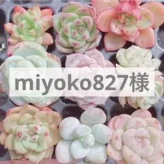 miyoko827様 リクエスト 3点 まとめ商品