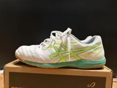 アシックス デスタッキ 25.5cmのサムネイル