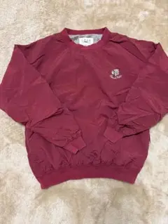 Item thumbnail for item f64e04dd-214a-4c68-a76c-0c88f389336f