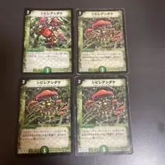 シビレアシダケ