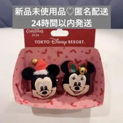 ディズニークリスマス2024