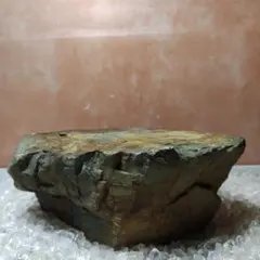 2025年最新】瀬田川石の人気アイテム - メルカリ