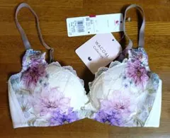 b65 ブラ&ショーツ