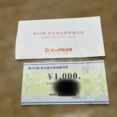 ビックカメラ 株主お買物優待券 ¥1,000