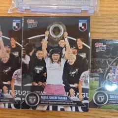 Item thumbnail for item dc982bbd-e2ec-4153-a8b7-e26b83fc4fd8