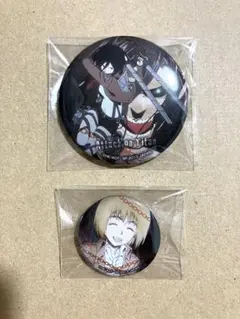 進撃の巨人 ミカサ アルミン 缶バッジ(2個)