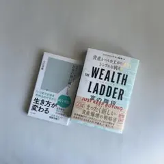 the wealth ladder 富の階段