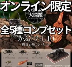 オンライン限定 かぶとむし１０ 樹皮台座（小）付き 全5種 コンプセット