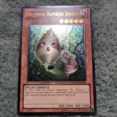 遊戯王 ナチュルバンブーシュート 英語版 レリーフ