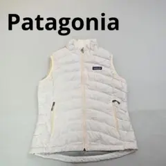 2025年最新】パタゴニア ダウンベスト レディースの人気アイテム
