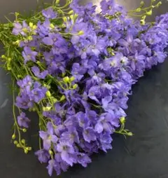 たろはな様専用♪